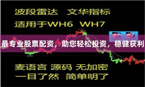 最专业股票配资，助您轻松投资，稳健获利